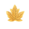 thumbnail image 1 of 50Pcs Simulated Maple Leaf, 3.9" x 3.5" Autumn Fall Artificial Leaves for Wedding Party Thanksgiving Decorations Table Room Home Decor Photography Props,Style 1, 1 of 6