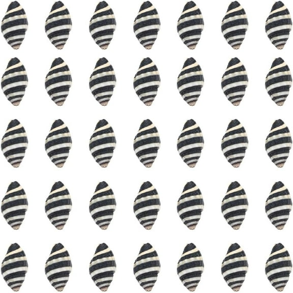 50Pcs Spiral Shells Small Spiral Seashells Vase Fillers Zebra Pattern Hawaii Style Sea Ocean Beach Black White Conch Un-Drilled No Hole Shells
