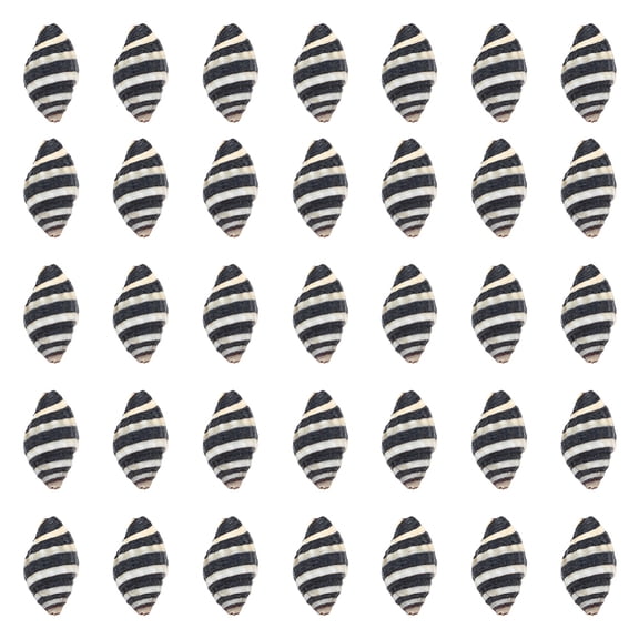 50Pcs Spiral Shells Small Spiral Seashells Vase Fillers Zebra Pattern Hawaii Style Sea Ocean Beach Black White Conch Un-Drilled No Hole