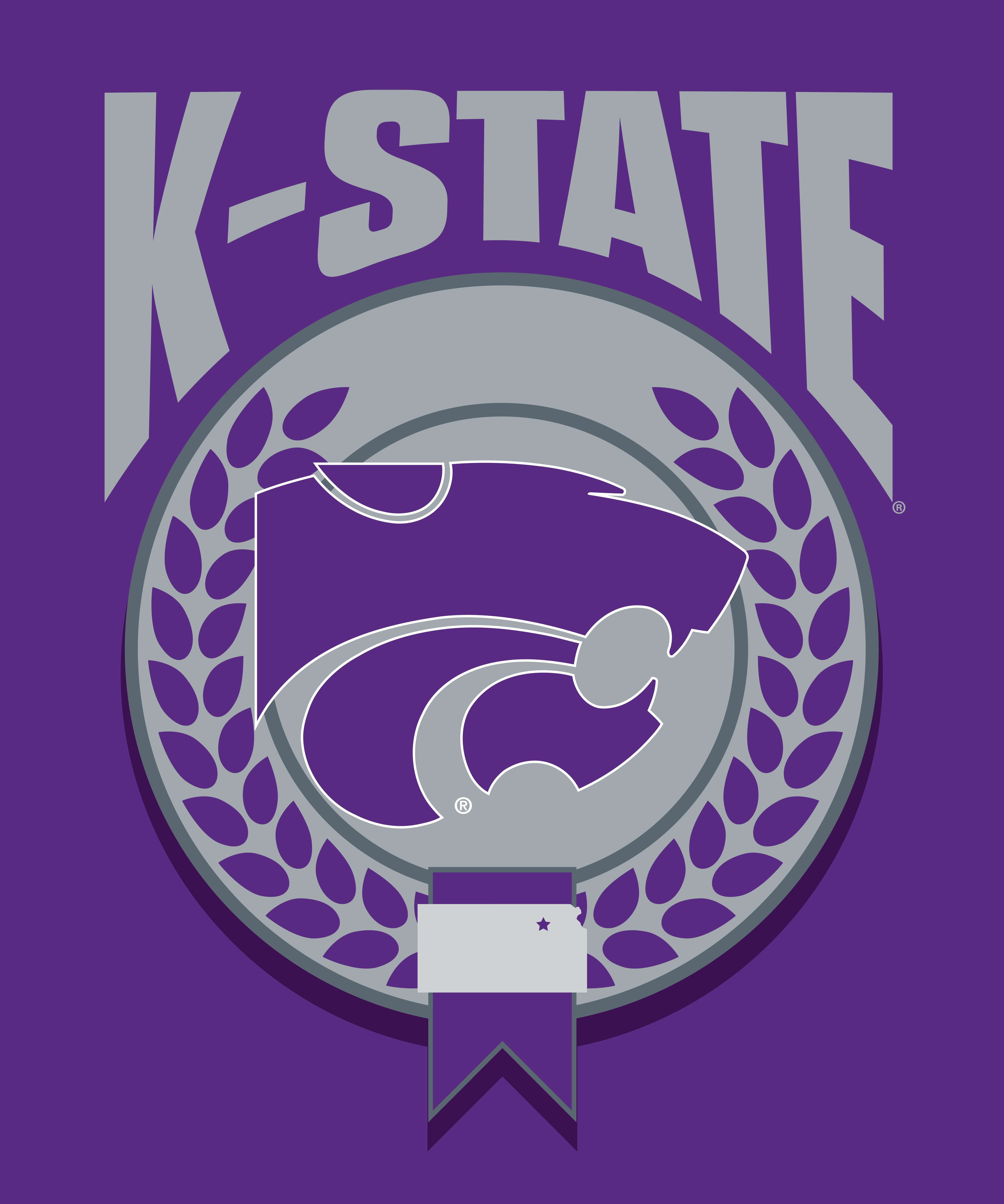Kansas State NCAA Apex Silk Touch Sherpa Throw 50x60 inches