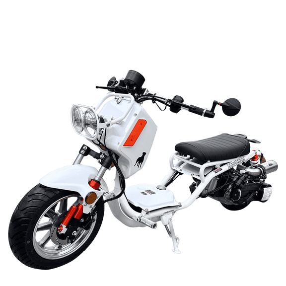 Venom Maddog 50cc Gen IV Scooter | Automatic CVT Street Scooter