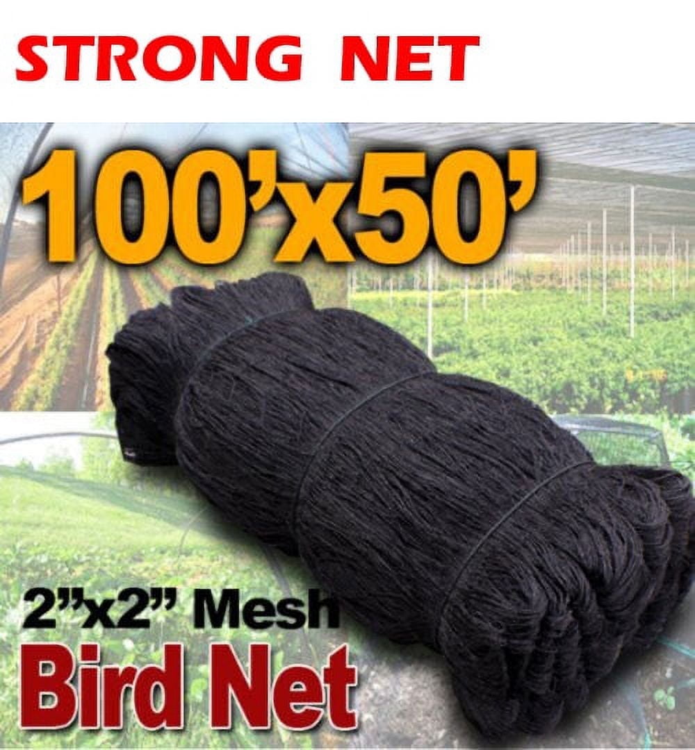 50ft x 100ft Strong Nylon 2-Inch Mesh Anti Bird Poultry Netting for Fruit Trees Used As Bird Netting for Chicken Coop, Garden Netting, Plant Netting, Tree Protectors, Aviary Netting