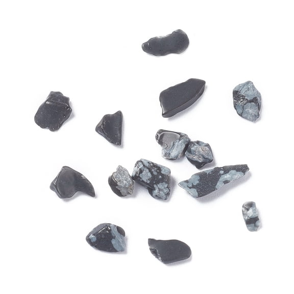 50g Natural Snowflake Obsidian Chips 3~11x1~7mm