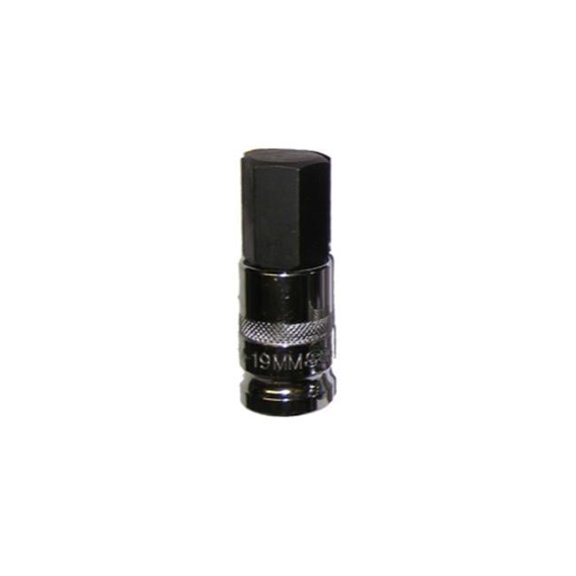 50in. Drive 19mm Hex Bit Socket
