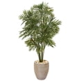thumbnail image 1 of 50in. Parlor Palm Artificial Tree in Sand Colored Planter, 1 of 2