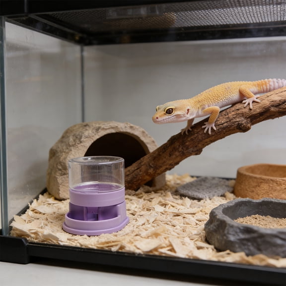 50ml Reptile Automatic Water Feeder, Small Capacity Anti-Spill Auto Water Dispenser Water Bowl, for Lizard Gecko Hermit Crab Spider Hamster Small Pets Terrarium Use(2.1"*2.4",Light Purple)