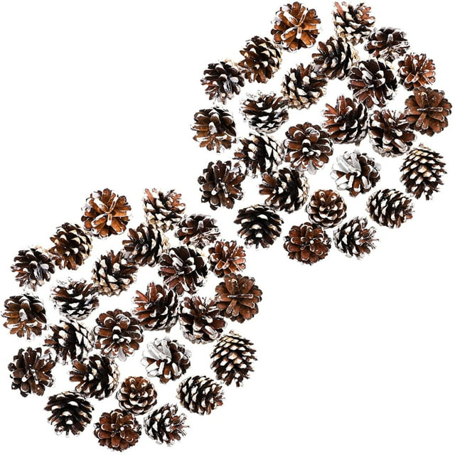 50pc A Variety Of Species Along With Flowers Leaves And Dried Flowers