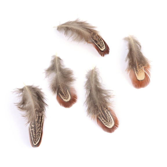 50pc Chicken Feather Costume Accessories Dyed Brown 40~80x10~20mm