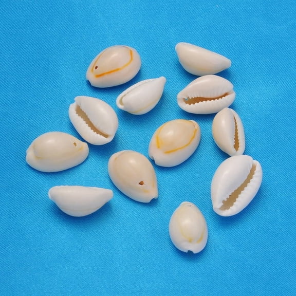50pc Natural Cowrie Shell Beads Dyed Seashell Color Hole: 2mm