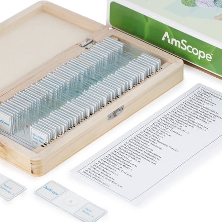 50pc Prepared Glass Microscope Botany Slide Specimens with Wooden Case