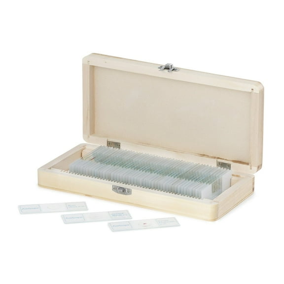 50pc Prepared Glass Microscope Histology & Pathology Slide Specimens with Wooden Case
