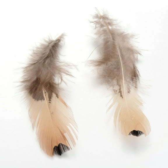50pcs Chicken Feather Costume Accessories Sandy Brown 100~110x30~40mm
