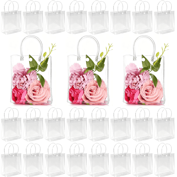 50pcs Clear Plastic Gift Bags with Handles PVC Reusable Transparent Totes Bags for Goodie Candy School Birthday Party(5.9 x 6.3 x 2.8 Inch)