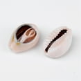 thumbnail image 1 of 50pcs Cowrie Shell Beads No Hole/Undrilled Seashell color 18~22.5x13~17x6~8mm, 1 of 4