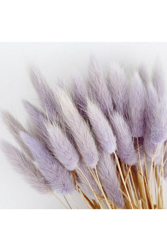 50pcs Dried Rabbit Tail Grass Flowers Artificial Plant Used for Home Wedding Party Theme Decoration