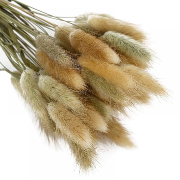 50pcs Dried Rabbit Tail Grass Flowers Artificial Plant Used for Home Wedding Party Theme Decoration