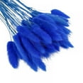 thumbnail image 1 of 50pcs Dried Rabbit Tail Grass Flowers Artificial Plant Used for Home Wedding Party Theme Decoration, 1 of 6
