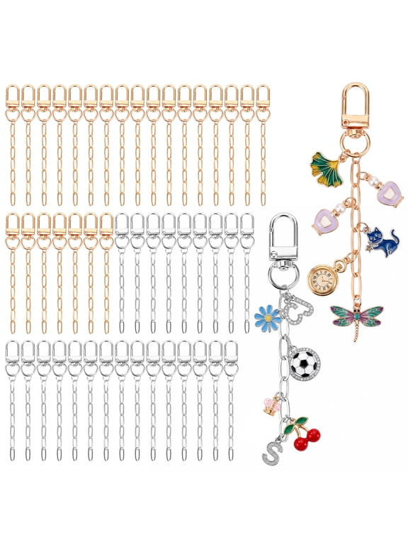 50pcs Keychain Chain Bulk 25 Gold 25 Silver DIY Jewelry Making Bag Charm Extender Chain for Handbag Purse Craft