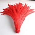 thumbnail image 1 of 50pcs Natural Chick Tail Feathers 25-40cm / 10-16inch Clothing Decoration Stage Performance Rooster Tail Feathers Plume Red 35-40cm, 1 of 6