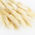 thumbnail image 1 of 50pcs Natural Dried Flowers Rabbit Tail Grass Flowers Artificial Plant Bouquet Pampas Grass DIY Crafts for Home Wedding Decor, 1 of 6