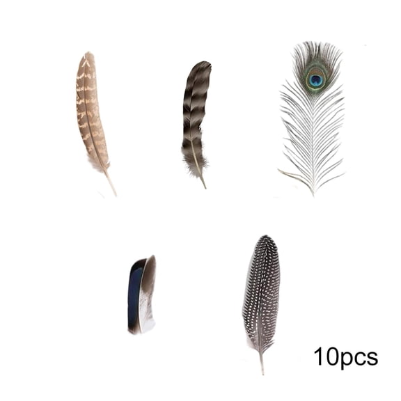 50pcs Natural Feathers Bulk 5 Styles Assorted Peacock, Pheasant, Turkey Feathers for Craft DIY Jewelry Hat Wedding Home Party Decor Mixed Feathers for Dream Catcher Supplies