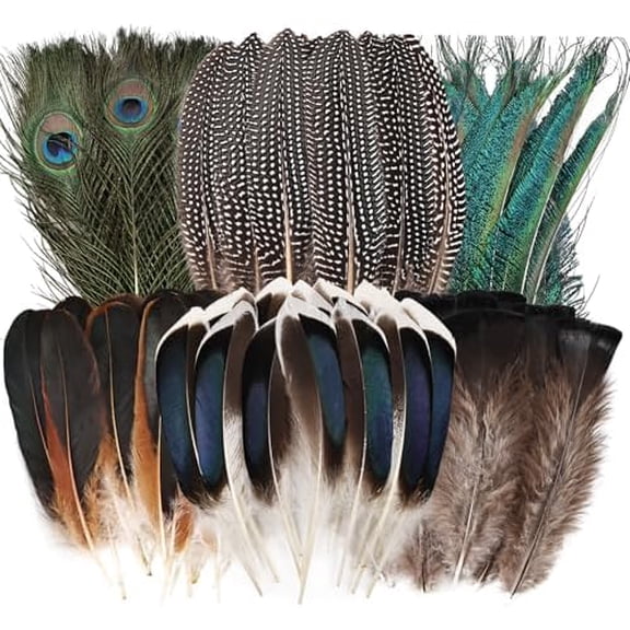 50pcs Natural Feathers Bulk-6 Style Mixed Decorative Spotted Feathers,Peacock Feather,Peacock Swords,Turkey Feathers for DIY Crafts Wedding Home Party Decoration