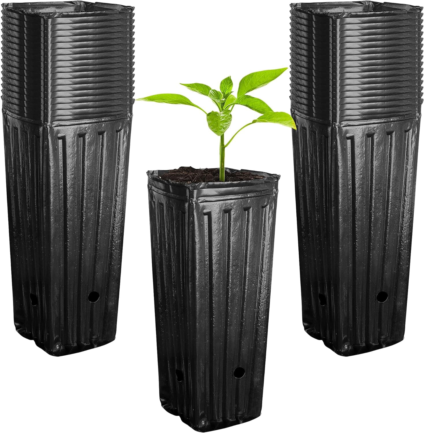 50pcs Plastic Deep Plant Nursery Pots,11.8”Tall Tree Pots, Seedling Container Pots with Draina Holes for Indoor Outdoor Gardening (3.9" Wx11.8 H)