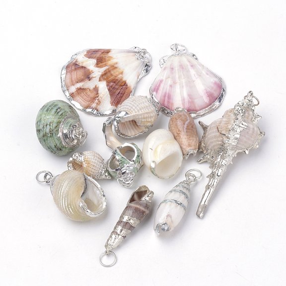 50pcs Sea Shell Pendants color with Jump Ring color Mixed style 17~63x12~50x6~21mm Hole: 5.5mm