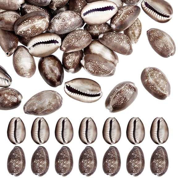 50pcs Serpent's Head Cowrie Seashells 1 Inch Brown Ocean Beach Shells Small Craft Shell Ornament for DIY Craft Summer Party Table Costume Fish Tank
