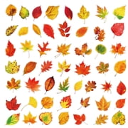 50pcs maple leaves Sticker for Scrapbooking Water Bottles Laptop Journaling,Cartoon fallen leaves Decal for Teens Planners,Cards, Gifts,Crafts,Art Projects,Glass Potion Bottlesmaple leaf