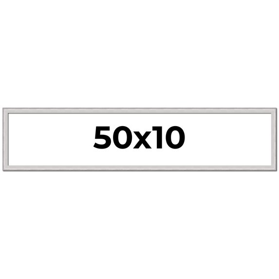 50x10 Frame Silver Inner Slope Bevel Picture Frame | 1 Inch Moulding Width | 0.75 Inch Rabbet Depth