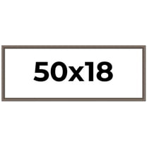 50x18 Frame Silver Real Wood Picture Frame Width 1.25 Inches | Interior Frame Depth 0.5 Inches |