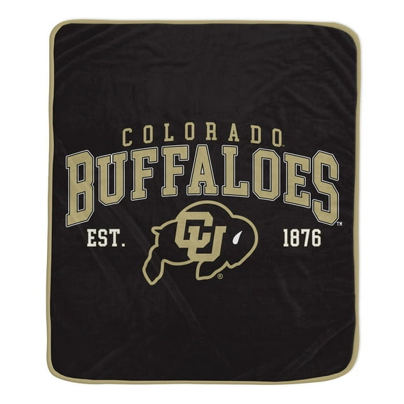 50x60 inch Vintage Arch Royal Plush Throw