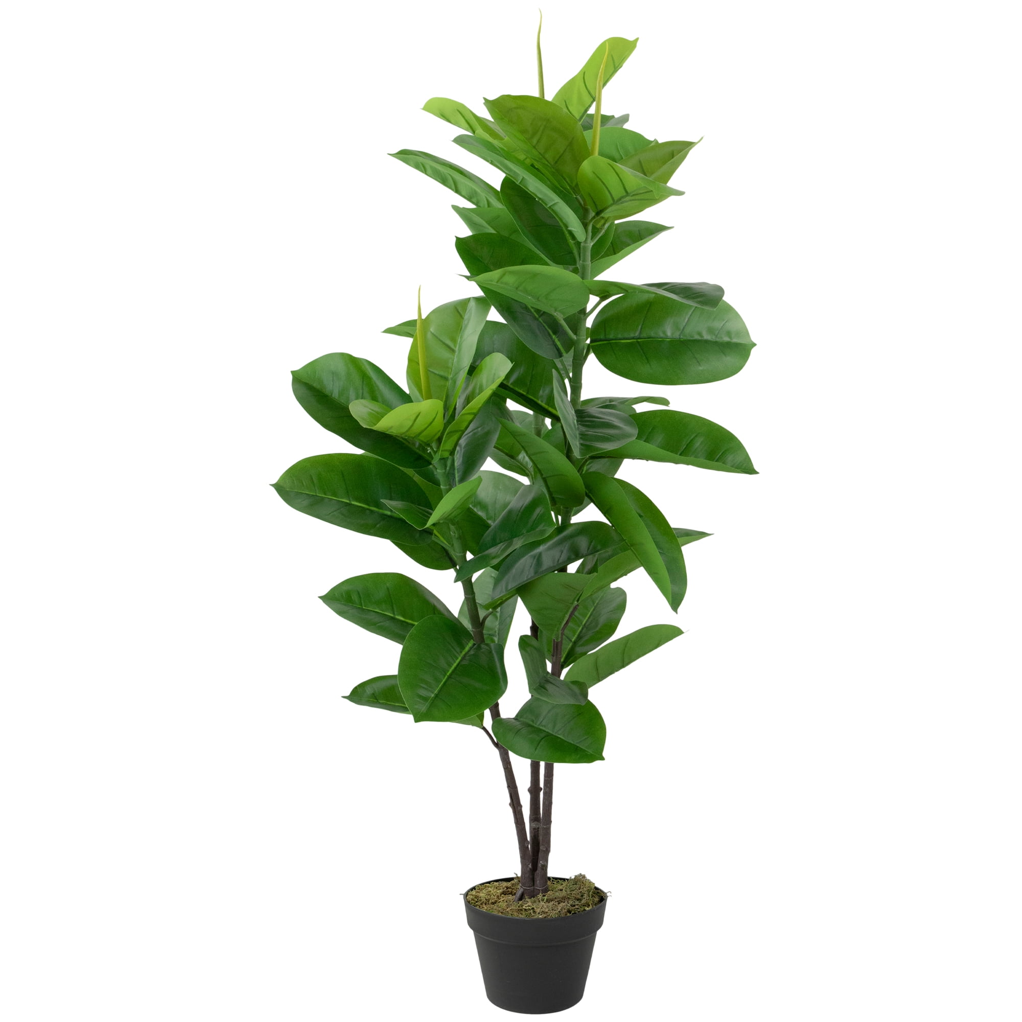 Lifelike Green and Red 51" Rubber Plant in Black Pot