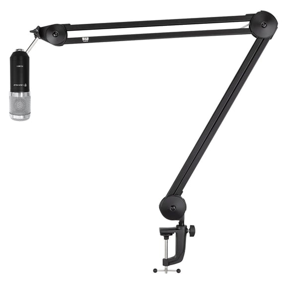 512 Audio by Warm Audio 512-BBA 31" Adjustable Microphone Boom Arm + RCM01 Mic