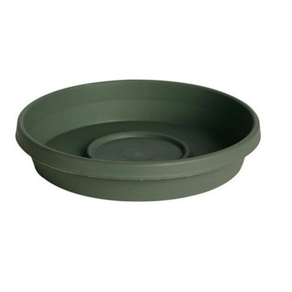 51408 8 in. Dia. 7.2 x 1.5 x 7.2 in. Ceramic Thyme Green Terratray