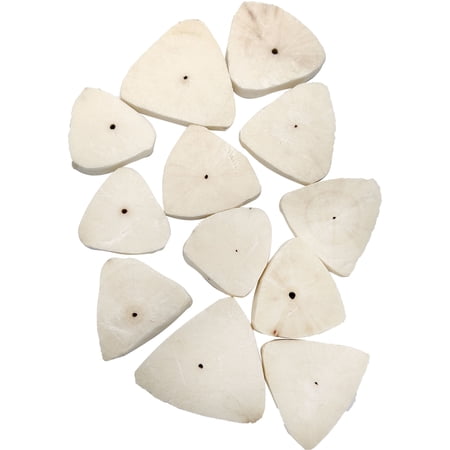 5143 Sola Oyster Slicers M&M Bird Toys - All Natural Air Dried Chunky Sola Triangles,