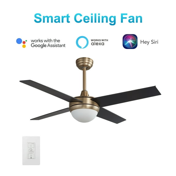 52" Indoor Ceiling Fan with Wall Switch and App Control for Indoor Home
