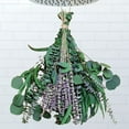 thumbnail image 1 of 52 PCS Mix Dried Eucalyptus & Lavender Flowers Bundles for Shower, 17'' Natural Real Hanging Silver Dollar Eucalyptus Leaves Stems, Fragrance Fresh Plants Home Bathroom Decor, 1 of 6