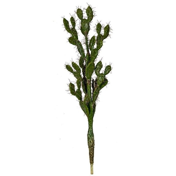 52 in. Prickly Pear Cactus with Needles, Green