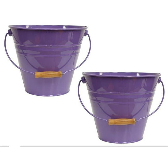 5202E V S-2 Enameled Galvanized Steel Recycling Bin-Storage Container, Violet - Set of 2