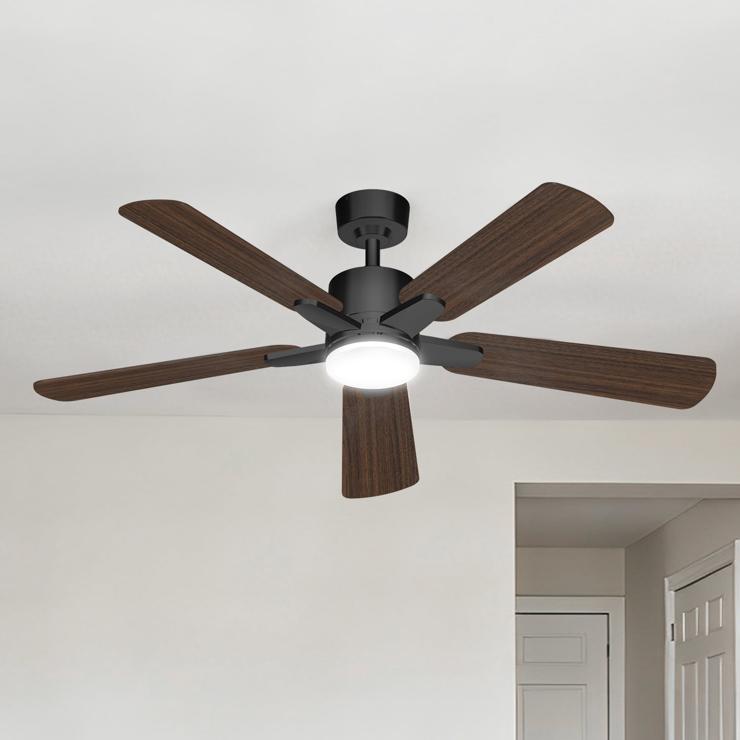 Manistays 52 inch Downrod Ceiling Fan with LED Light, Remote Control, 6 Speeds, 5 Blades, Black