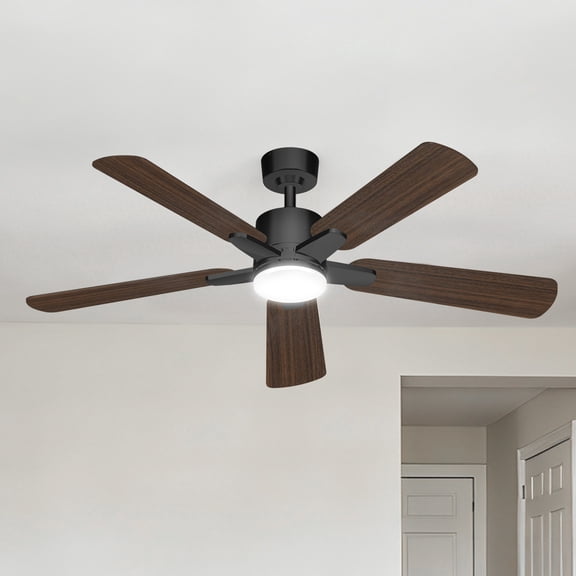 Manistays 52 inch Downrod Ceiling Fan with LED Light, Remote Control, 6 Speeds, 5 Blades, Black
