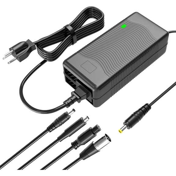 54.6V 2A Electric Charger for 48V Lithium Battery Compatible with Battery Charger,Equipped with 4 Output Heads 