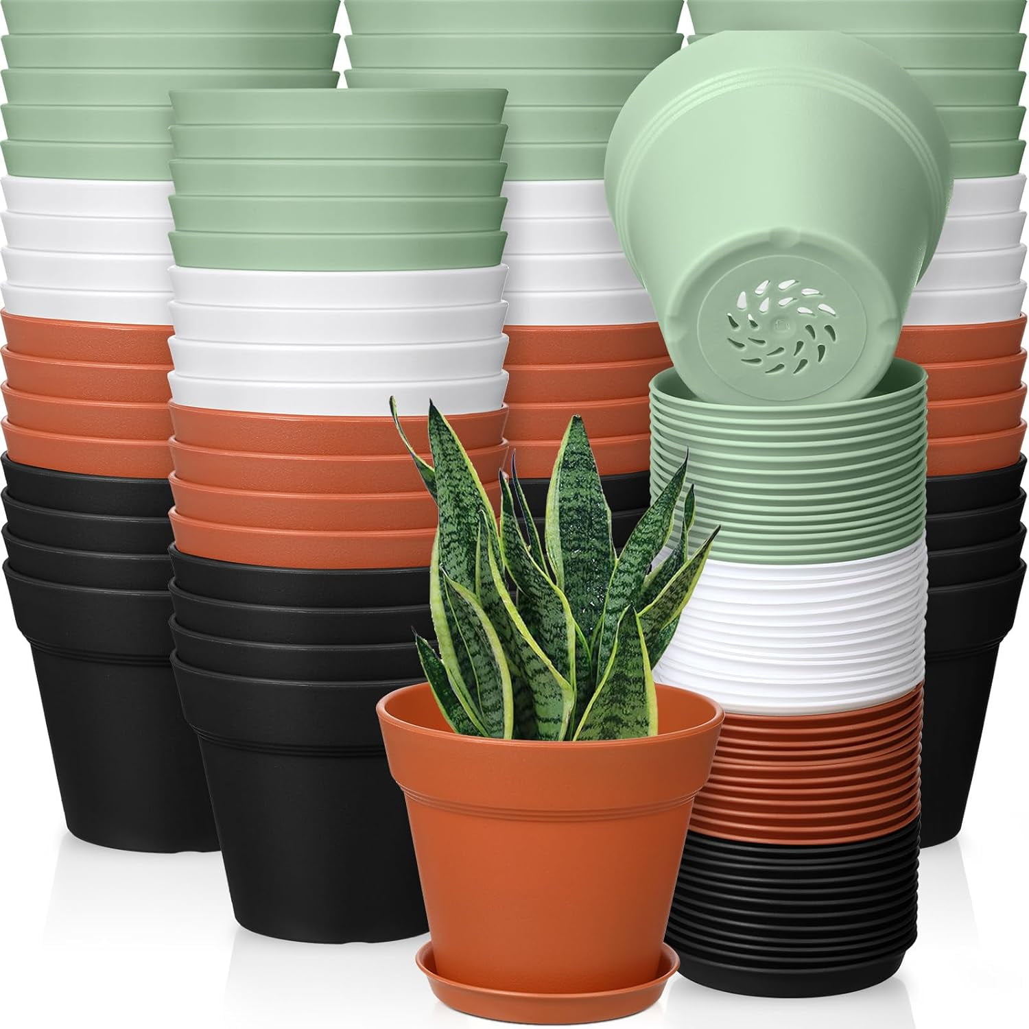 54 Pack 4 Inch Plant Pots Bulk Small Planter with Drainage Hole and Saucer Small Plastic Pots for Flowers Succulent Cactus and All House Indoor(Classic)