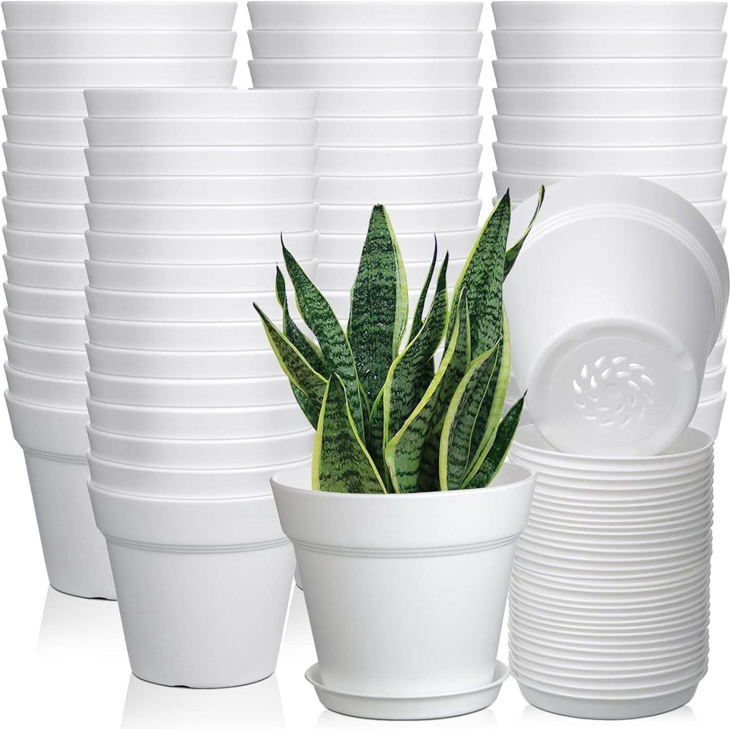 54 Pack 4 Inch Plant Pots Bulk Small Planter with Drainage Hole and Saucer Small Plastic Pots for Flowers Succulent Cactus and All House Indoor(White)