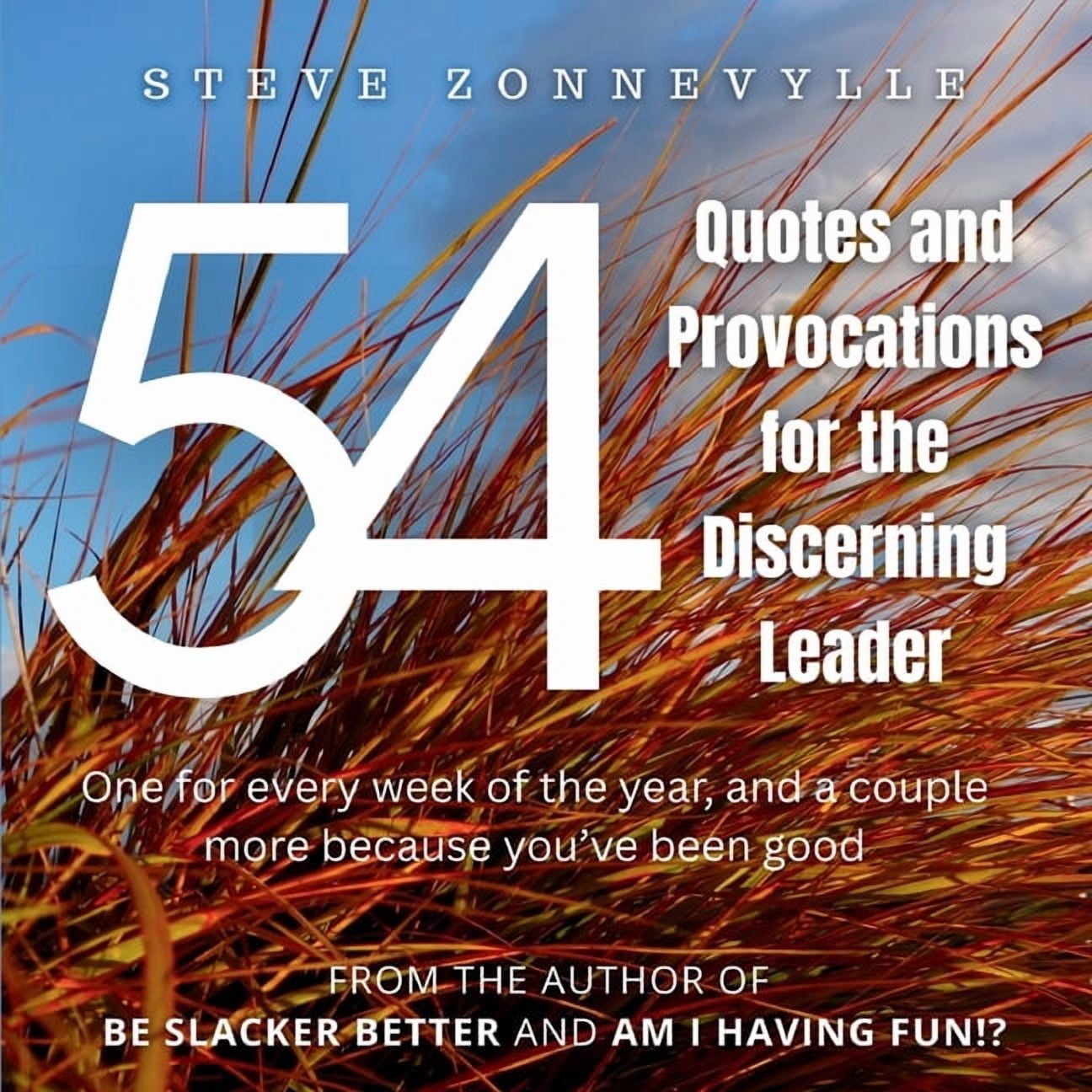 54 Quotes and Provocations for the Discerning Leader, (Paperback)