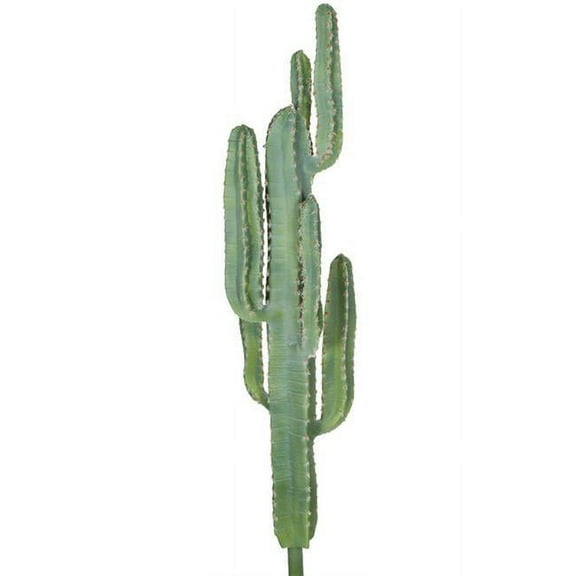 54 in. Desert Green Saguaro Cactus with Light Needles, Green & Beige