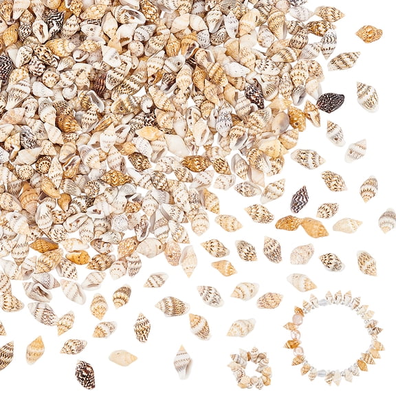 540pcs Natural Spiral Sea Shell Beads 10-15mm Ocean Beach Seashell Beads Drilled Mini Shells Small Shells Craft Jewelry Making Wedding Home