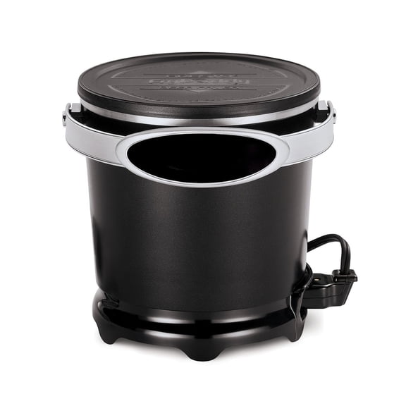 5420 Electric Deep Fryer with Automatic Temperature Control, 4-Quart Capacity, for Crispy Fries, Chicken, Shrimp & More